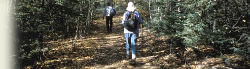 Activities in Norman Wells, NT