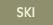 Ski